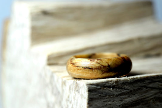 O ring, anello, legno di Faggio