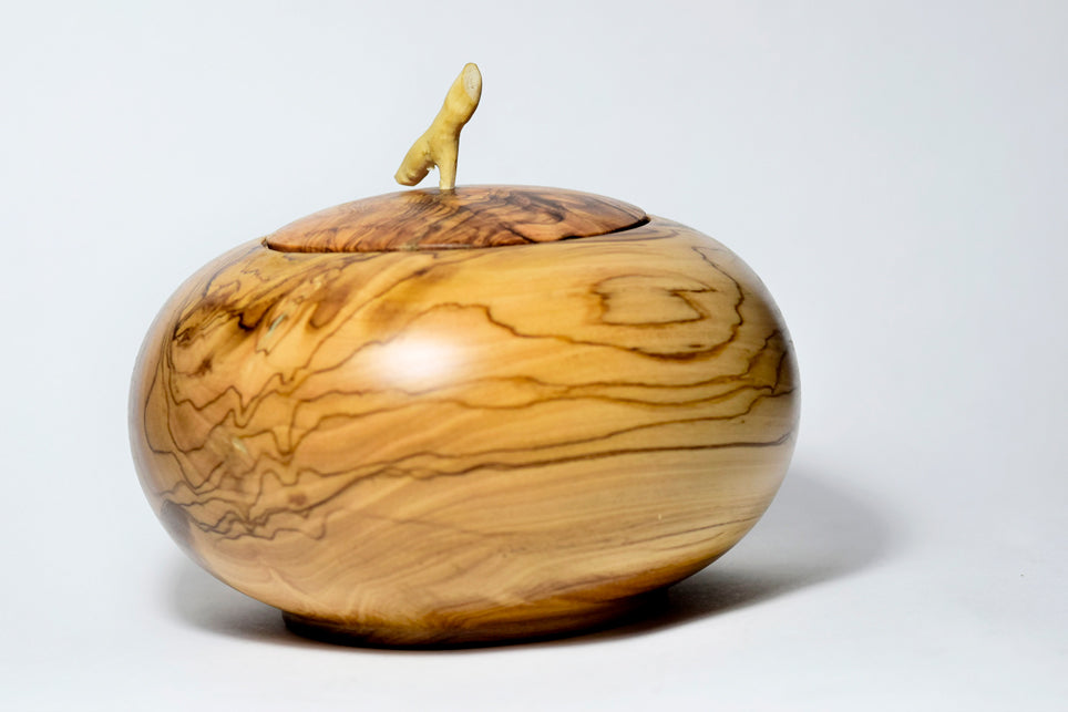Chicca, legno di Ulivo