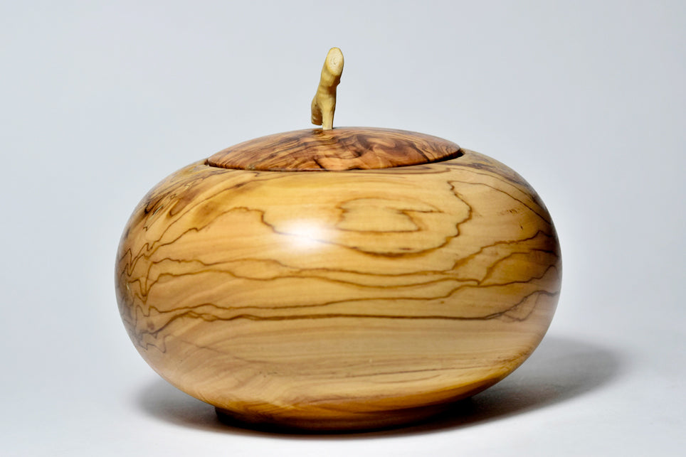 Chicca, legno di Ulivo