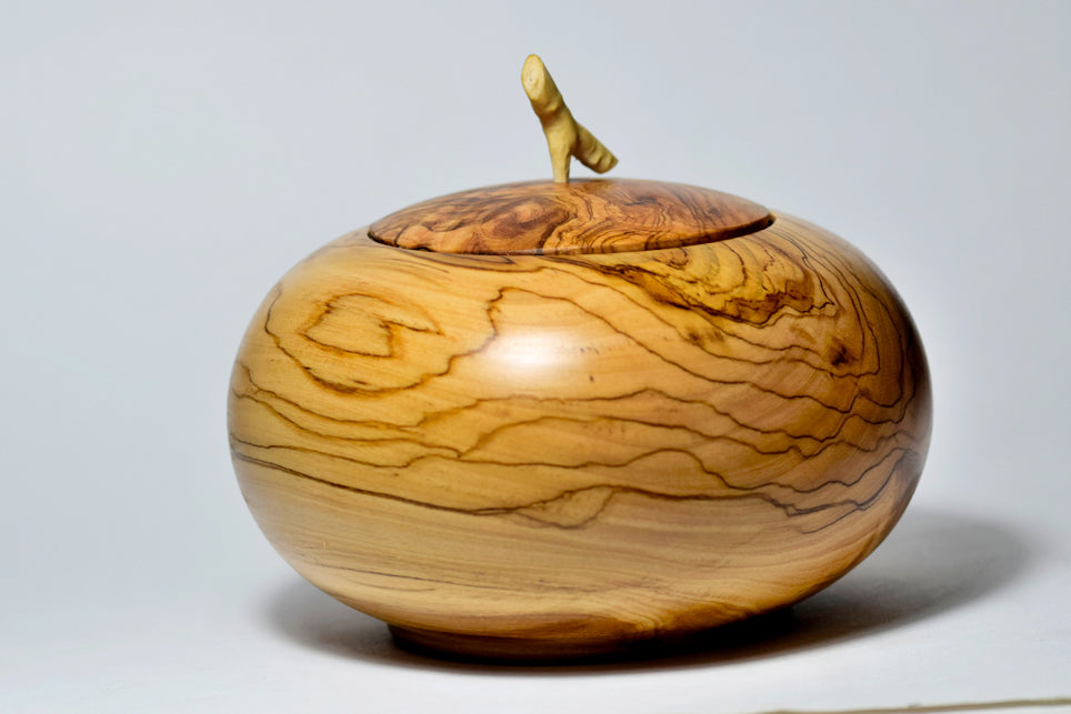 Chicca, legno di Ulivo