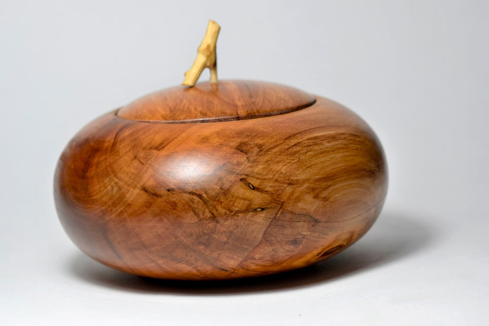 Chicca, legno di Nespolo