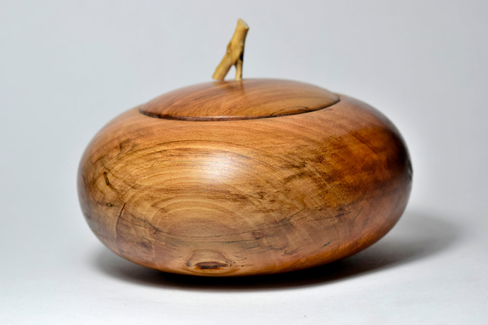 Chicca, legno di Nespolo