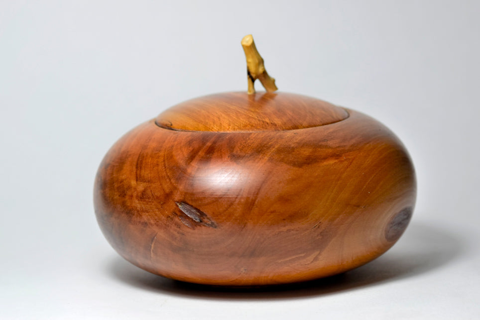 Chicca, legno di Nespolo