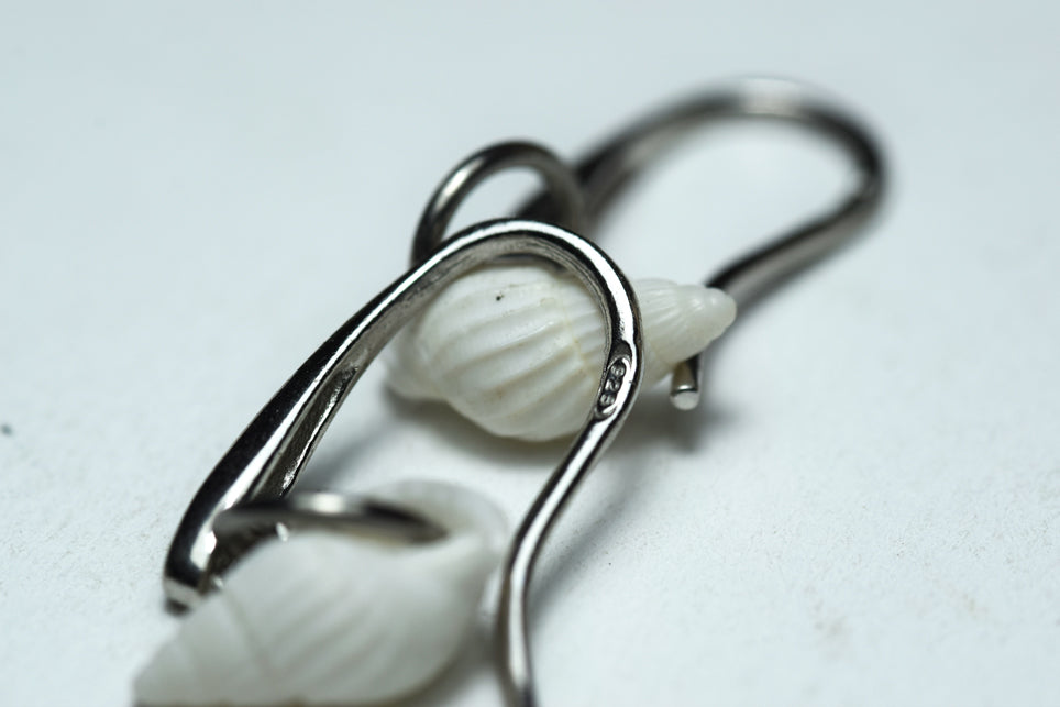 Sicule, conchiglie siciliane