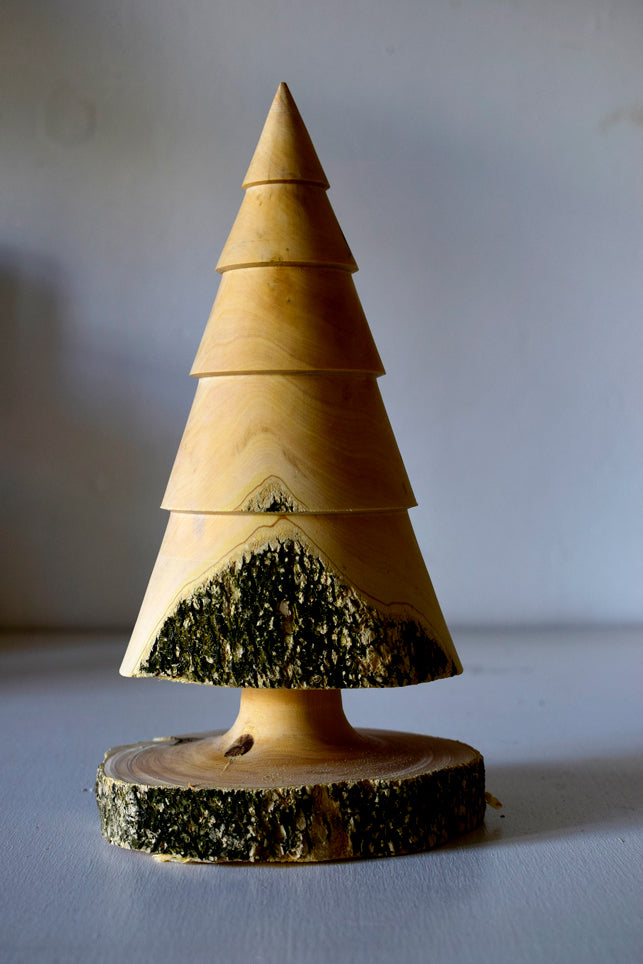 Pino, simile pino in legno di Bosso e corteccia