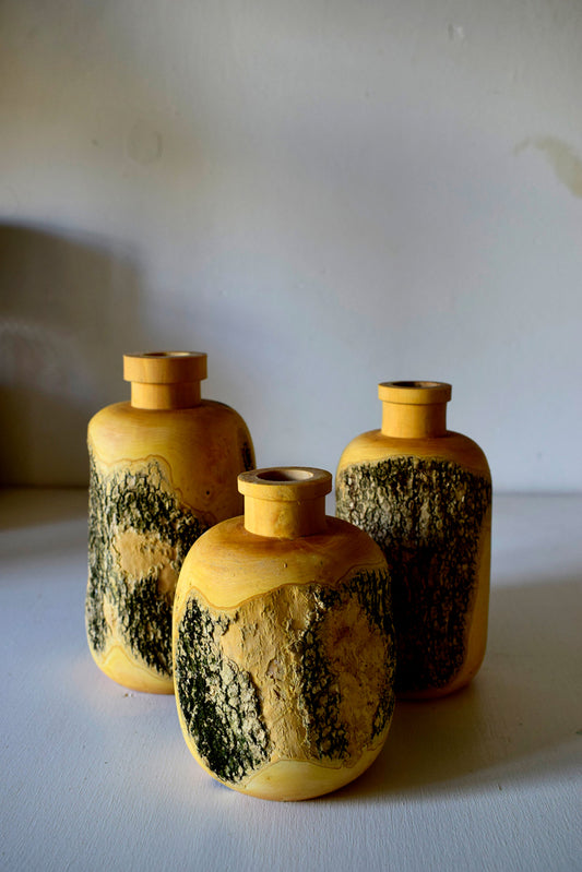 Bottiglie porta fiori in legno di Bosso con corteccia