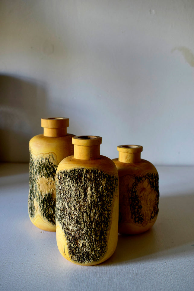 Bottiglie porta fiori in legno di Bosso con corteccia