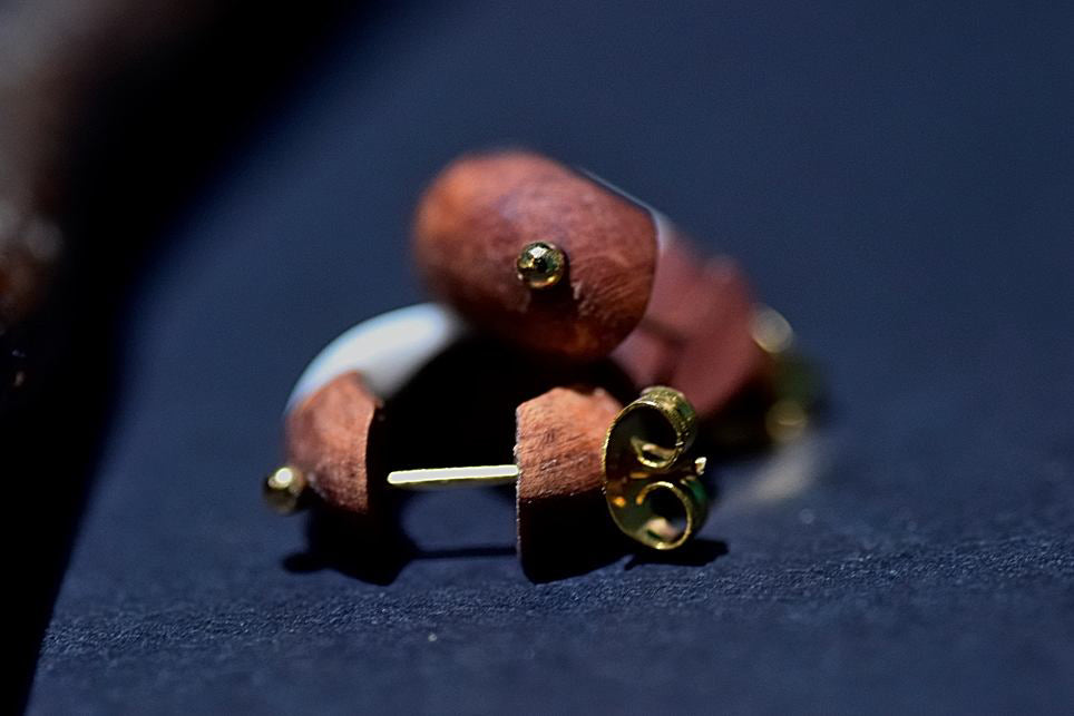 Coco, Orecchino, Erica arborea