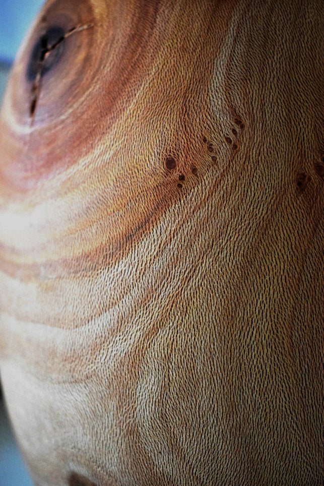 Graziella, Lampada, Legno di Platano