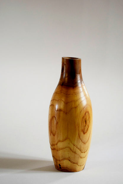 Ulmus, legno di Olmo