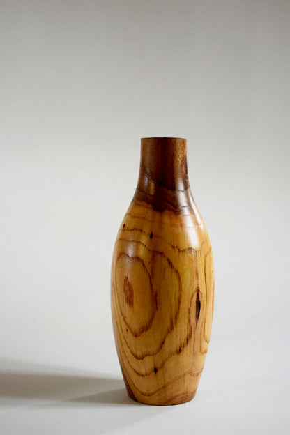Ulmus, legno di Olmo