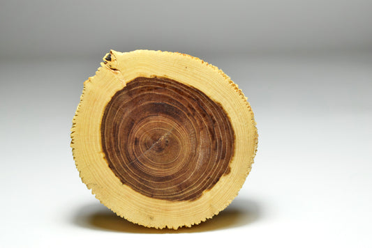 el Moro, Apribottiglie in legno di Olmo