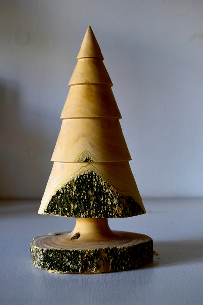 Pino, simile pino in legno di Bosso e corteccia