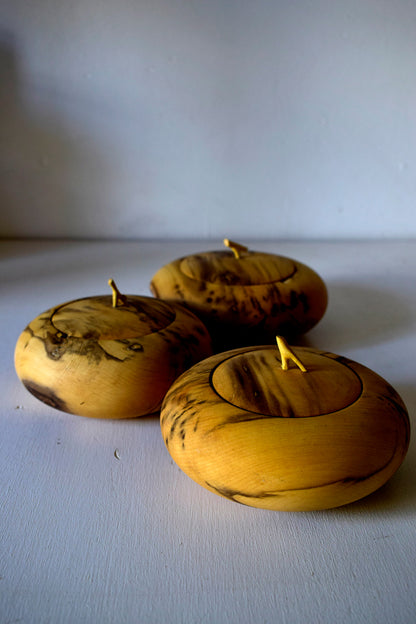 Scatola in legno di Bosso