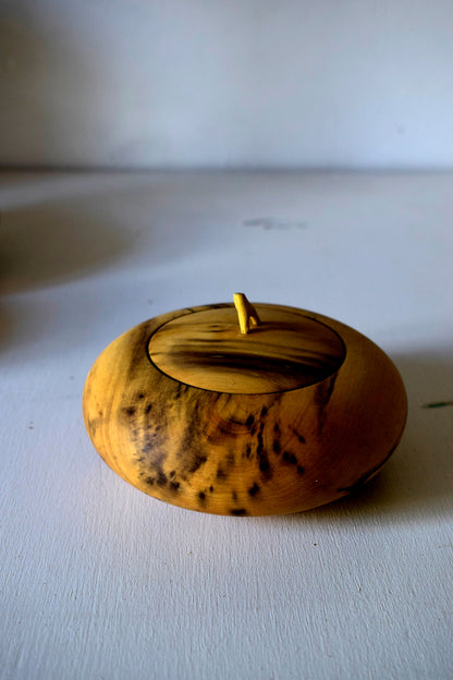 Scatola in legno di Bosso