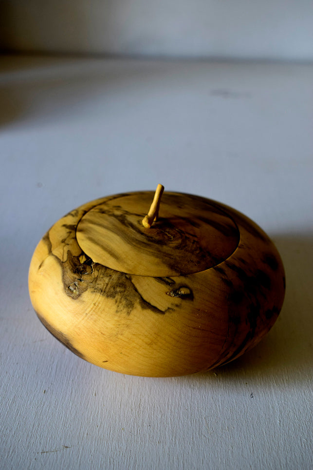 Scatola in legno di Bosso