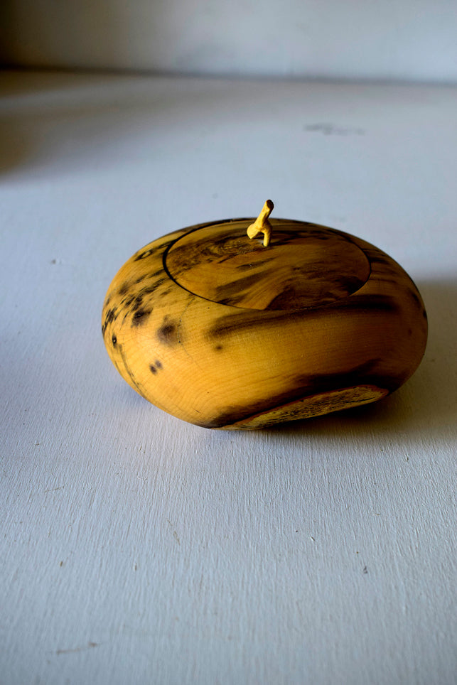 Scatola in legno di Bosso