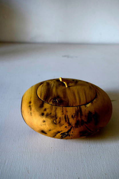 Scatola in legno di Bosso