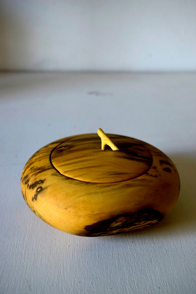 Scatola in legno di Bosso