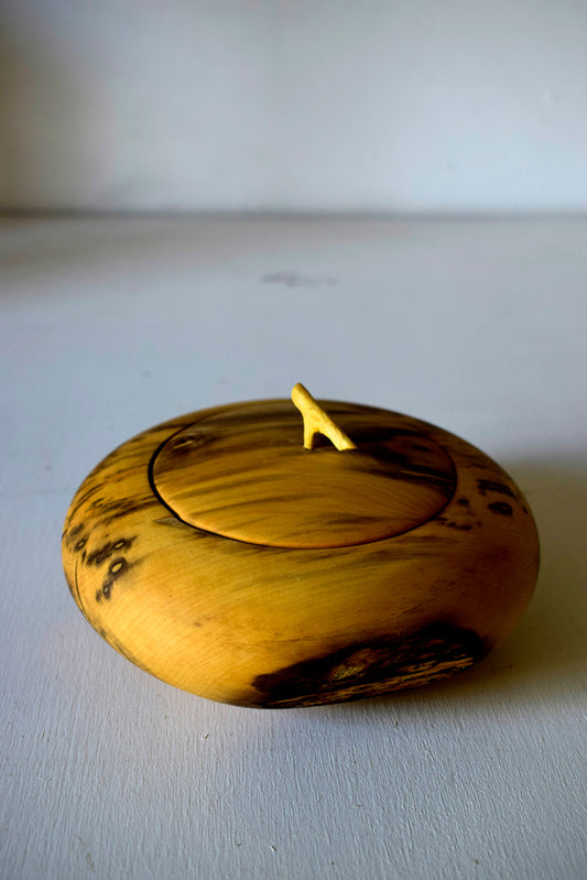 Scatola in legno di Bosso