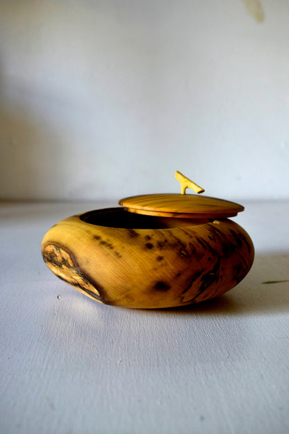 Scatola in legno di Bosso