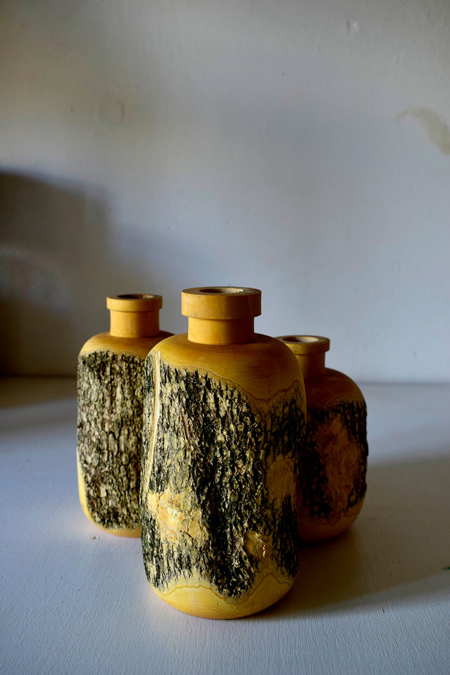 Bottiglie porta fiori in legno di Bosso con corteccia