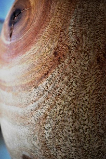 Graziella, Lampada, Legno di Platano